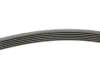 Ремень поликлиновой (Пр-во ContiTech) continental 6PK1740
