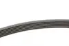 Ремень поликлиновой (Пр-во ContiTech) continental 6PK1743