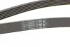Ремень поликлиновой (Пр-во ContiTech) continental 6PK1743