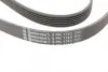 Ремень поликлиновой (Пр-во ContiTech) continental 6PK1743