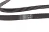 Ремень поликлиновой (Пр-во ContiTech) continental 6PK1750