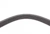 Ремень поликлиновой (Пр-во ContiTech) continental 6PK1750