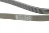 Ремень поликлиновой (Пр-во ContiTech) Continental 6PK1767 (фото 3)