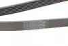 Ремень поликлиновой (Пр-во ContiTech) continental 6 PK 1800