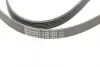 Ремень поликлиновой (Пр-во ContiTech) continental 6 PK 1800