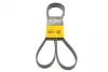 Ремень поликлиновой (Пр-во ContiTech) continental 6 PK 1800