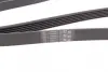 Ремень поликлиновой (Пр-во ContiTech) Continental 6 PK 1815 (фото 3)