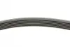 Ремень поликлиновой (Пр-во ContiTech) continental 6PK1830