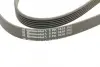 Ремень поликлиновой (Пр-во ContiTech) continental 6PK1830