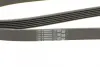 Ремень поликлиновой (Пр-во ContiTech) continental 6PK1830