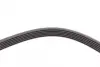 Ремень поликлиновой (Пр-во ContiTech) continental 6 PK 1863