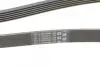 Ремень поликлиновой (Пр-во ContiTech) continental 6PK1870