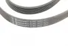Ремень поликлиновой (Пр-во ContiTech) continental 6PK1870