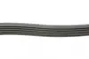 Ремень поликлиновой (Пр-во ContiTech) Continental 6 PK 1915 (фото 2)