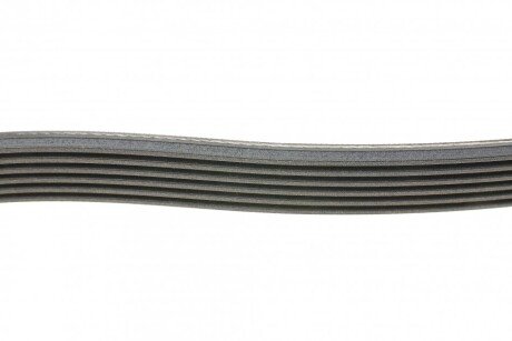 Привідний ремінь генератора continental 6PK1915