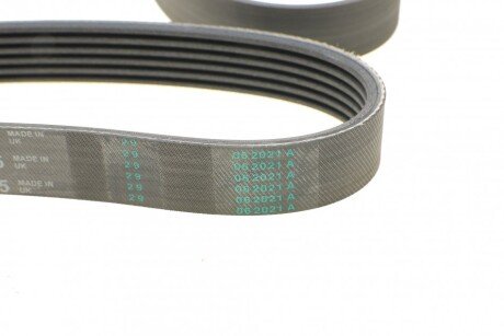 Привідний ремінь генератора continental 6PK1915