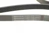 Ремень поликлиновой (Пр-во ContiTech) Continental 6 PK 1915 (фото 4)