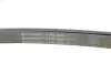 Ремень поликлиновой (Пр-во ContiTech) continental 6 PK 2000