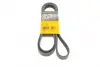 Ремень поликлиновой (Пр-во ContiTech) continental 6 PK 2000