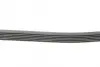 Ремень поликлиновой (Пр-во ContiTech) continental 6PK2020