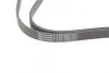 Ремень поликлиновой (Пр-во ContiTech) continental 6PK2020