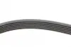 Ремень поликлиновой (Пр-во ContiTech) continental 6 PK 2030
