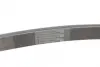 Ремень поликлиновой (Пр-во ContiTech) continental 6 PK 2030