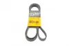 Ремень поликлиновой (Пр-во ContiTech) continental 6 PK 2030