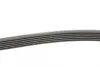 Ремень поликлиновой (Пр-во ContiTech) Continental 6PK2040 (фото 2)