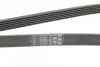Ремень поликлиновой (Пр-во ContiTech) Continental 6PK2040 (фото 3)