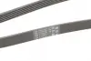 Ремень поликлиновой (Пр-во ContiTech) continental 6 PK 2050