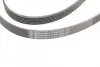 Ремень поликлиновой (Пр-во ContiTech) continental 6 PK 2050