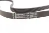 Ремень поликлиновой (Пр-во ContiTech) continental 6PK2080