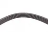 Ремень поликлиновой (Пр-во ContiTech) continental 6PK2080