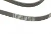 Ремень поликлиновой (Пр-во ContiTech) continental 6 PK 2100