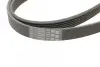 Ремень поликлиновой (Пр-во ContiTech) continental 6 PK 2100