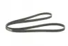 Ремень поликлиновой (Пр-во ContiTech) continental 6 PK 2100