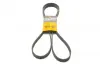 Ремень поликлиновой (Пр-во ContiTech) continental 6 PK 2100