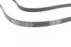 Ремень поликлиновой (Пр-во ContiTech) continental 6PK2120