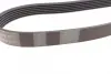 Ремень поликлиновой (Пр-во ContiTech) Continental 6PK2170 (фото 3)