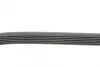 Ремень поликлиновой (Пр-во ContiTech) continental 6PK2205
