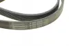 Ремень поликлиновой (Пр-во ContiTech) continental 6PK2205