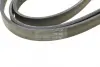 Ремень поликлиновой (Пр-во ContiTech) continental 6PK2205