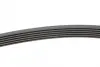 Ремень поликлиновой (Пр-во ContiTech) continental 6PK2215