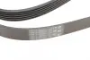 Ремень поликлиновой (Пр-во ContiTech) continental 6PK2215