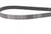 Ремень поликлиновой (Пр-во ContiTech) continental 6PK2225