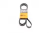 Ремень поликлиновой (Пр-во ContiTech) continental 6PK2225