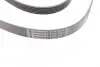 Ремень поликлиновой (Пр-во ContiTech) continental 6 PK 2241