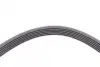 Ремень поликлиновой (Пр-во ContiTech) continental 6 PK 2241