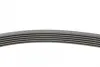Ремень поликлиновой (Пр-во ContiTech) continental 6PK2250